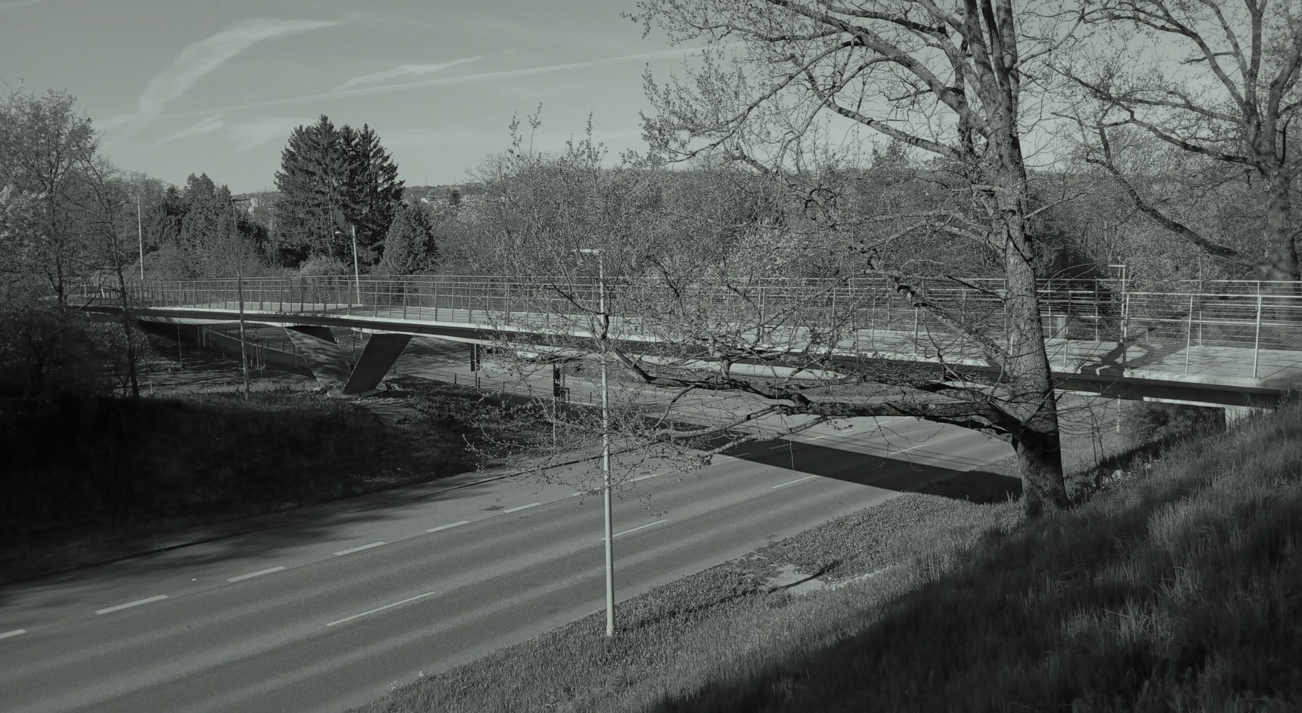 DFOS an Carbonbeton Brücke